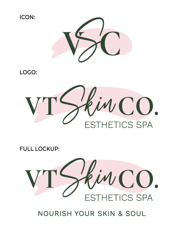 VSC Logo Concept 1a